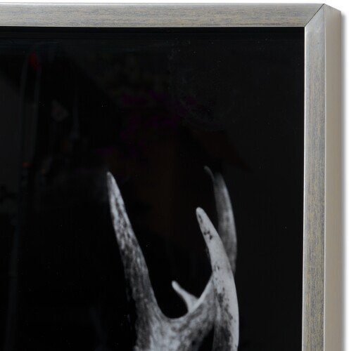 Dark Stag Glass Image With Silver Frame