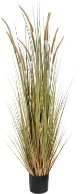 Field Grass Pot 60 Inch