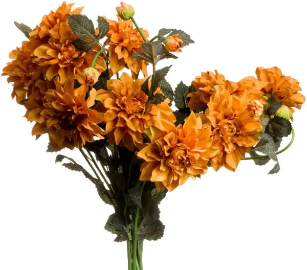 Orange Dahlia Spray