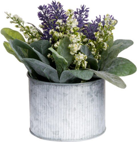 Lavender And Lily In Tin Pot