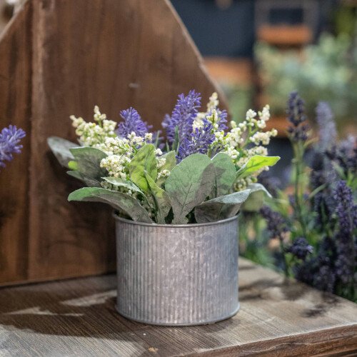 Lavender And Lily In Tin Pot