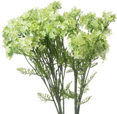 Green Plumb Blossom Spray