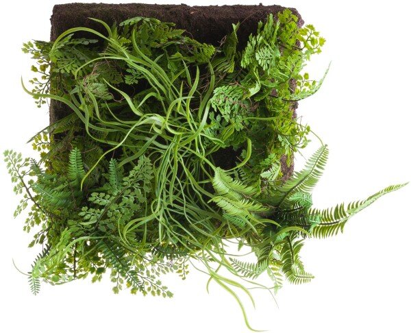 Fern And Grasses Wall Panel