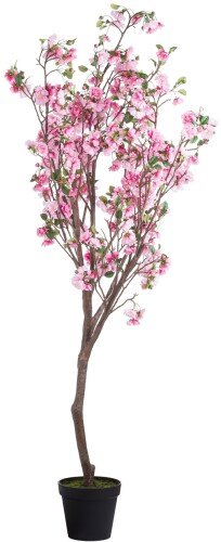 Large Cherry Blossom Tree