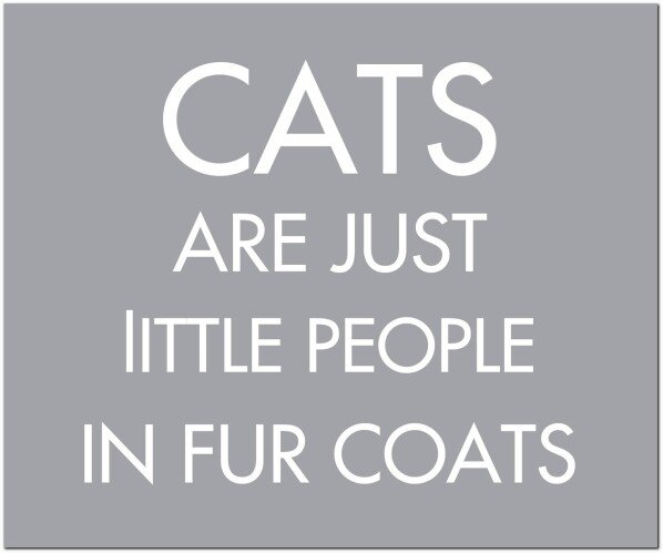 Cats Are Just Little People In Fur Coats Silver Foil Plaque