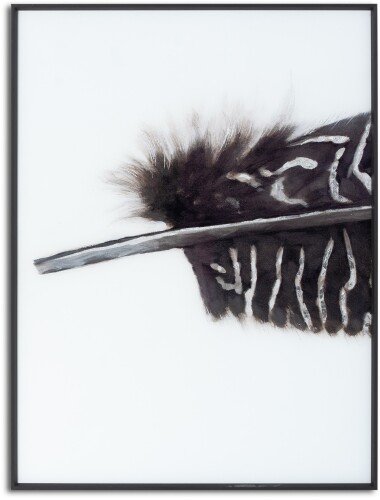 Black Feather with White Spots Over 3 Black Glass Frames