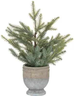 Garda Pine Tree In Stone Pot