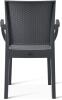 Canterbury-Arm-Chair-back-2.jpg