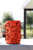 lf0137sr-in2.jpg