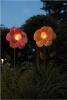 lf1014-in2.jpg