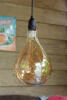 lf1156-in3.jpg